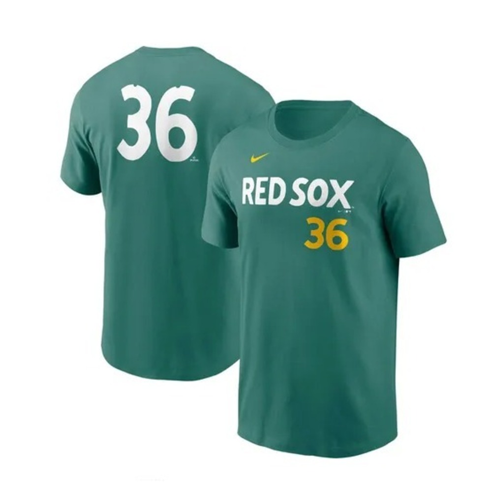 Red Sox Green City Connect T SHIRT Authentic Size Adult Large - NWT Nike - Picture 1 of 12